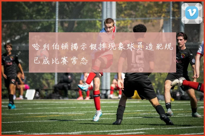 哈利伯顿揭示假摔现象球员造犯规已成比赛常态